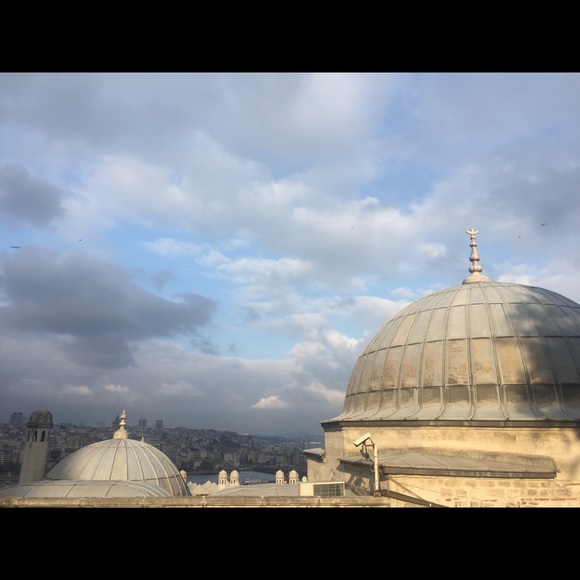 Meet your Posher, Antiope - Picture 1 of 1